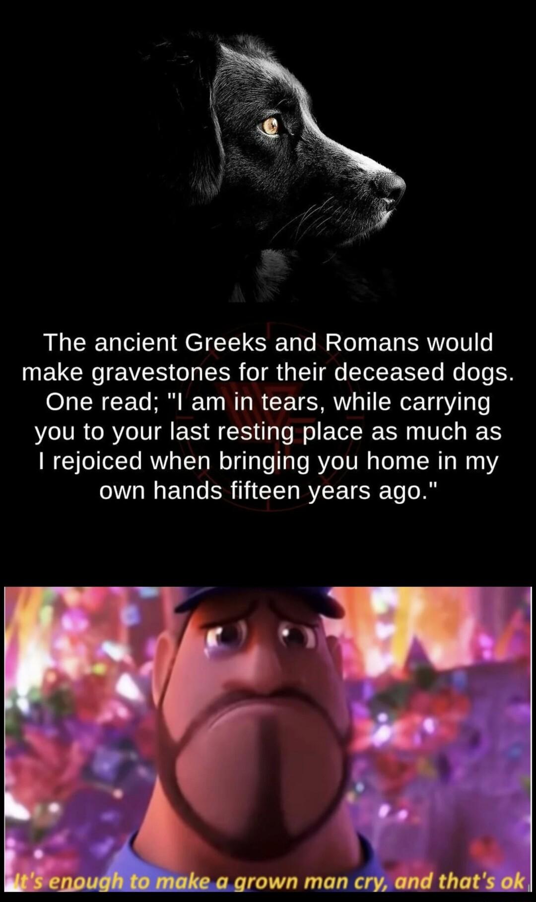 RUCE UL LR EU AT DELCKEVES GRS TR G IR R DI One read I am in tears while carrying you to your last resting place as much as rejoiced when bringing you home in my E G ER G RISt agrown man cry and thatsok