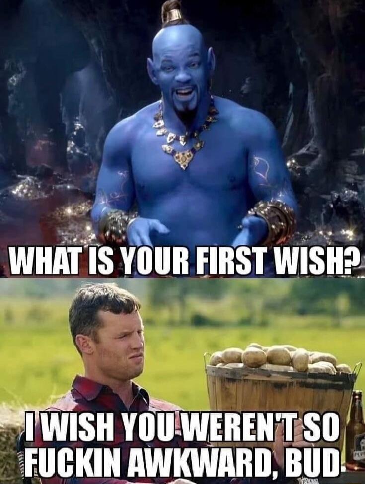 WHAT IS YOUR FIRST WISH?
I WISH YOU WEREN'T SO FUCKIN AWKWARD, BUD