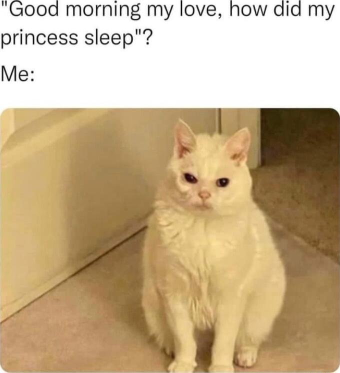 ood morning my love how princess sleep Me