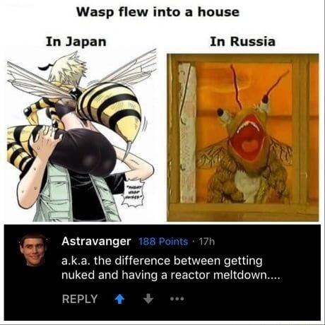 Wasp flew into a house In Japan In Russia Astravanger aka the difference between getting nuked and having a reactor meltdown REPLY