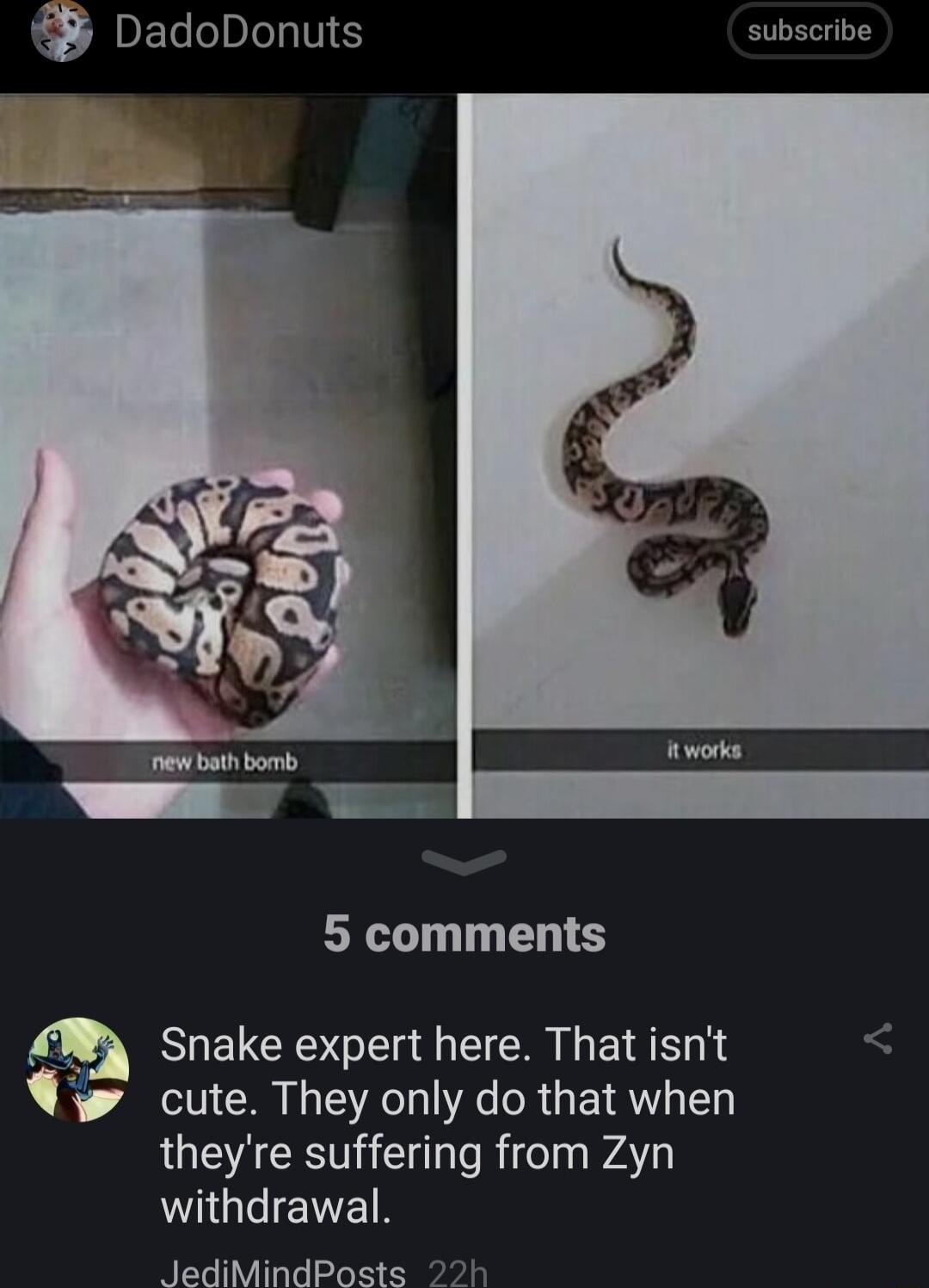 ZDECIDILT subscribe T 5 comments Snake expert here That isnt W cute They only do that when LUEACRTGE R PAT withdrawal JediMindPosts