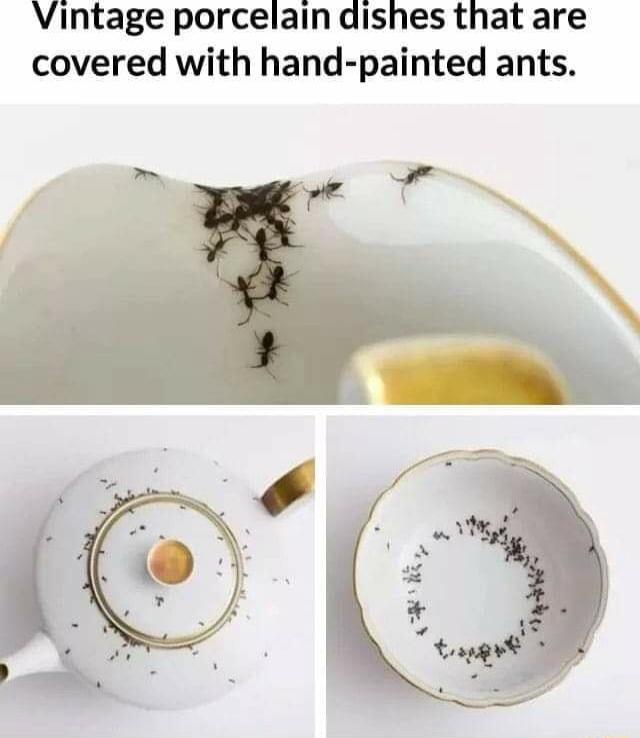 Vintage porcelain dishes that are covered with hand painted ants n o