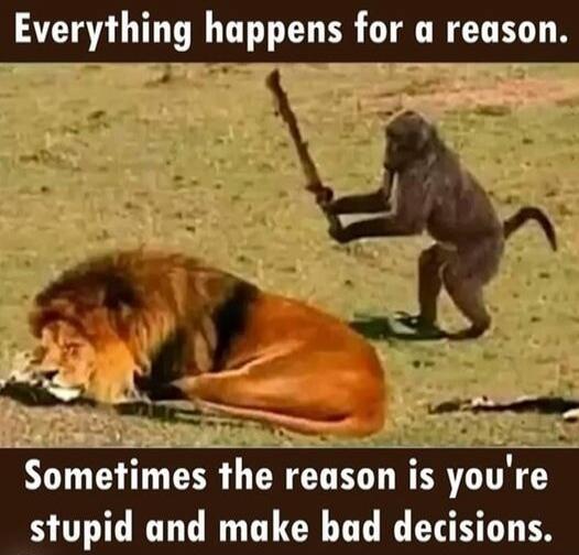 Everything happens for a reason. Sometimes the reason is you're stupid and make bad decisions.