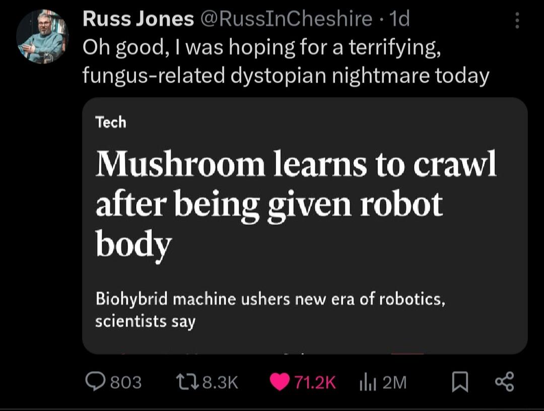 Russ Jones RussInCheshire 1d Oh good was hoping for a terrifying fungus related dystopian nightmare today Tech Mushroom learns to crawl after being given robot body Biohybrid machine ushers new era of robotics s803 183K 712K 20 R