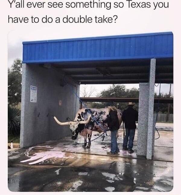 all ever see something so Iexas you have to do a double take