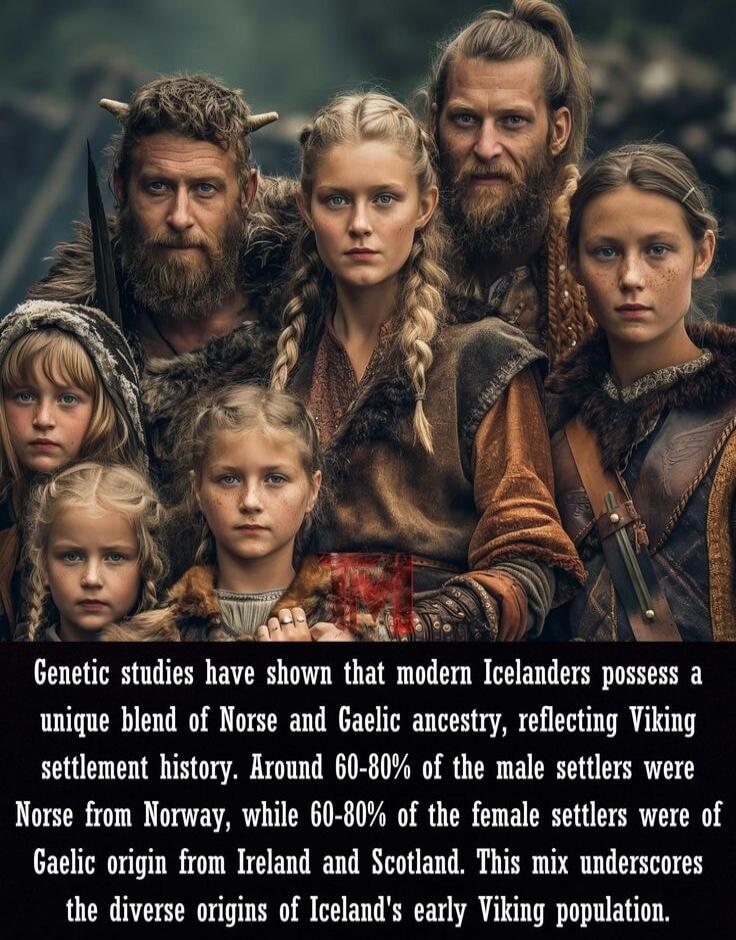 Genetic studies have shown that modern Icelanders possess a unique blend of Norse and Gaelic ancestry, reflecting Viking settlement history. Around 60-80% of the male settlers were Norse from Norway, while 60-80% of the female settlers were of Gaelic origin from Ireland and Scotland. This mix underscores the diverse origins of Iceland's early Vikin