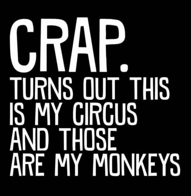 CRAP. TURNS OUT THIS IS MY CIRCUS AND THOSE ARE MY MONKEYS