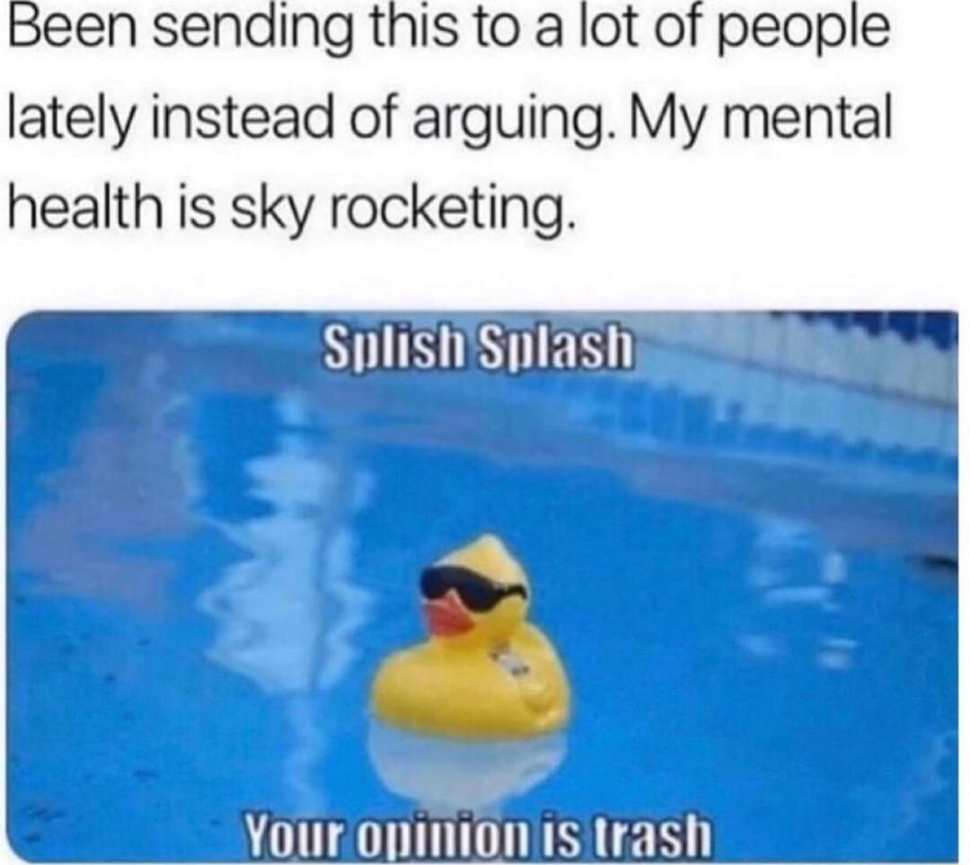 Been senaing this to a lot of people lately instead of arguing My mental health is sky rocketing
