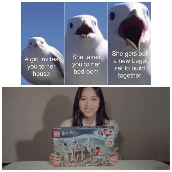 Agirl invite anew Lego you to her set to build together