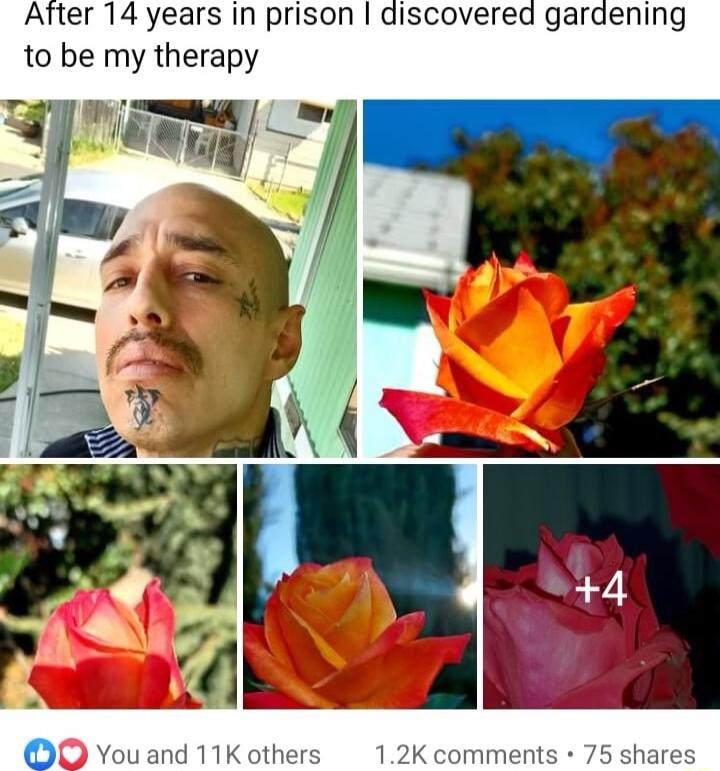 After 14 years In prison discovered gardening to be my therapy 1Kothers 12K comments