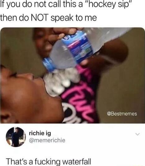 If you do not call this a hockey sip hen do NOT speak to me Bestmemes Thats a fucking waterfall