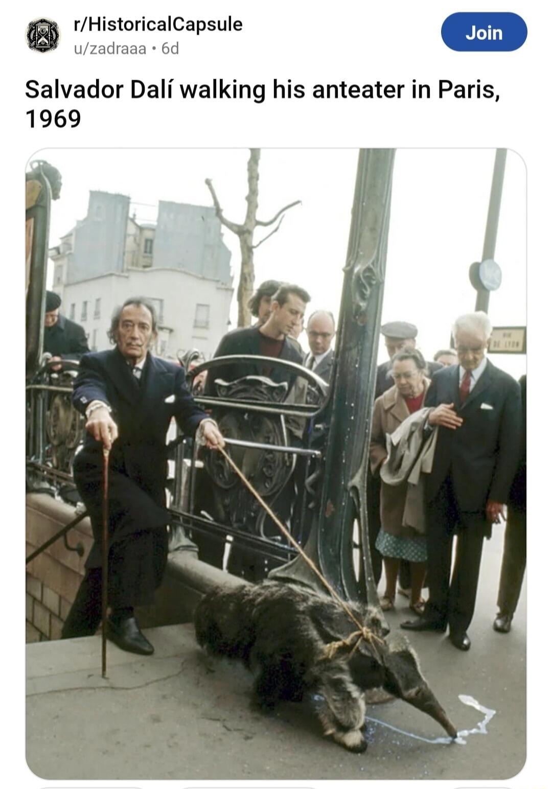 Himortslcapmils zadraaa 6d Salvador Dali walking his anteater in Paris