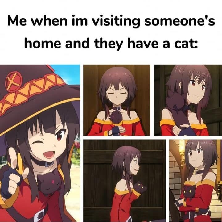 Me when im visiting someones home and they have a cat