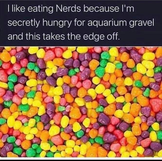 like eating Nerds because Im secretly hungry for aquarium gravel e RGISREICR X To e Xol i