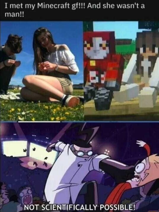 I met my Minecraft gf And she wasnt a EDI NOT SCIENTIFICALLY POSSIBLE