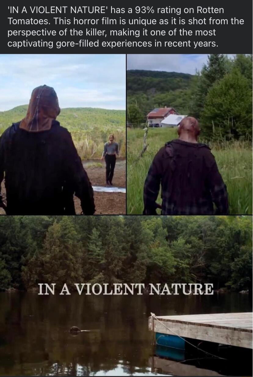 IN A VIOLENT NATURE has a 93 rating on Rotten Tomatoes This horror film is unique as it is shot from the perspective of the killer making it one of the most captivating gore filled experiences in recent years