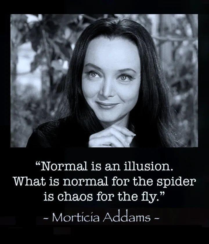 R OenENBERNBIINE 00 What is normal for the spider BRI Yol Bl A l BiNAY Morticia Addams