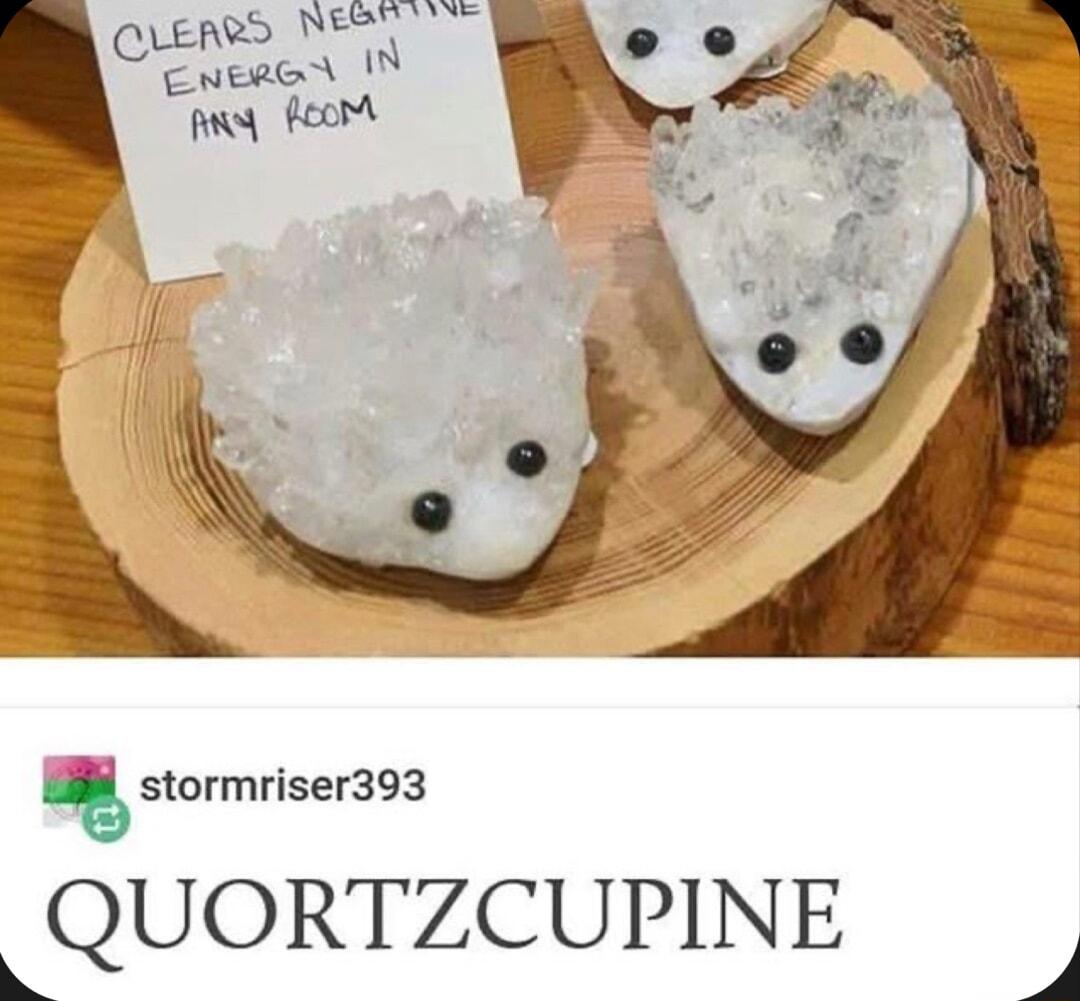 U b O esen 1 g feort stormriser393 LQUORTZCUPINE