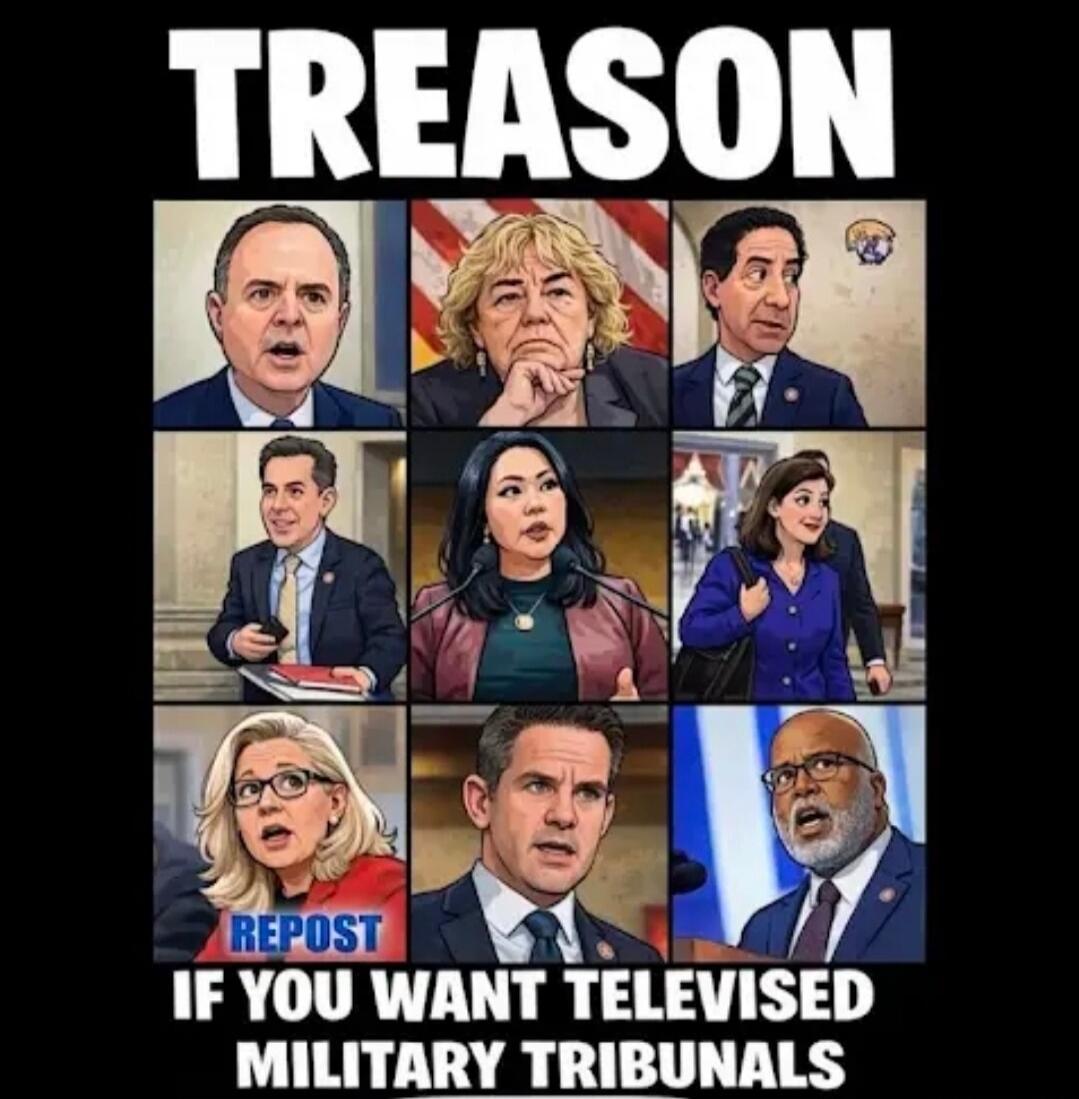 TREASON
IF YOU WANT TELEVISED MILITARY TRIBUNALS