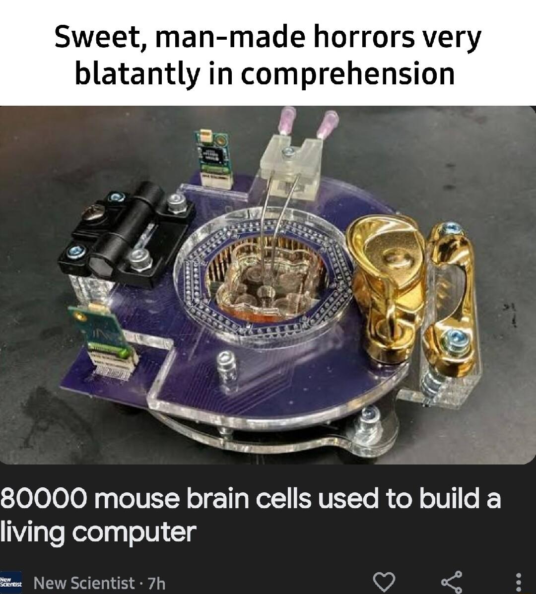 Sweet man made horrors very blatantly in comprehension S 80000 mouse brain cells used to build a living computer Q