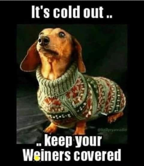 Its cold out S keep your Weiners covered