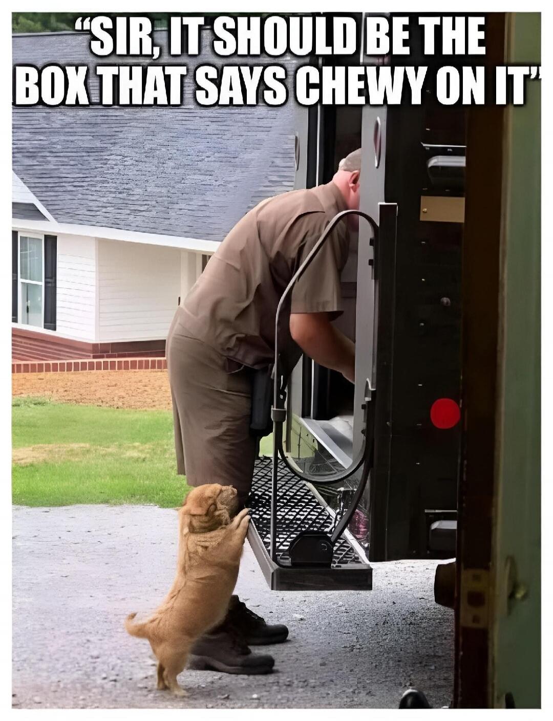 SIR, IT SHOULD BE THE BOX THAT SAYS CHEWY ON IT