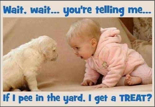 Wait wait youre telling me lflpeemlhegardlgefalr