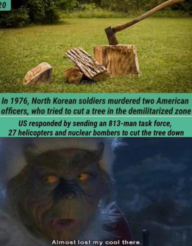 In 1976 North Korean soldiers murdered two American officers who tried to cut a tree in the demilitarized zone US responded by sending an 813 man task force 27 helicopters and nuclear bombers to cut the tree down Almost 18Ty cool there