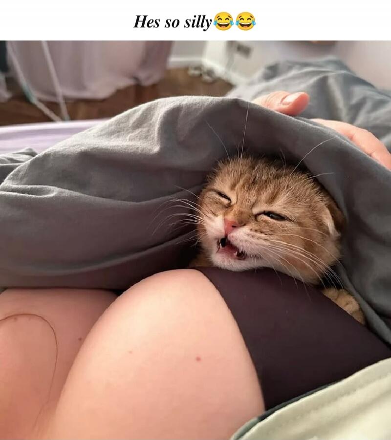 Hes so silly 😂🤣