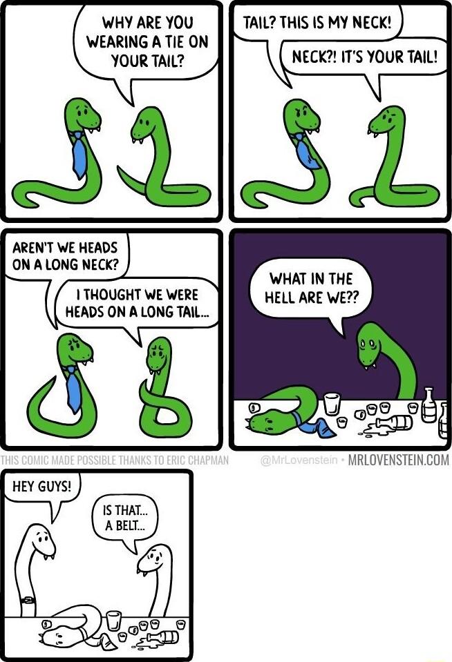 WHY ARE YOU WEARING A TIE ON YOUR TAIL ARENT WE HEADS ON A LONG NECK 1 THOUGHT WE WERE HEADS ON A LONG TAIL dd