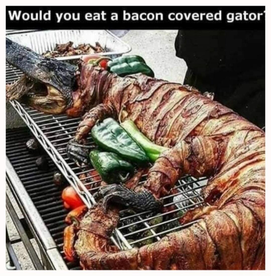 Would you eat a bacon covered gator