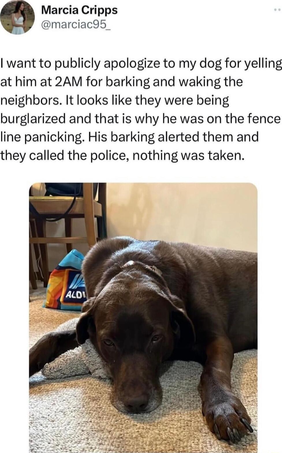 Marcia Cripps marciac95_ want to publicly apologize to my dog for yelling at him at 2AM for barking and waking the neighbors It looks like they were being burglarized and that is why he was on the fence line panicking His barking alerted them and they called the police nothing was taken