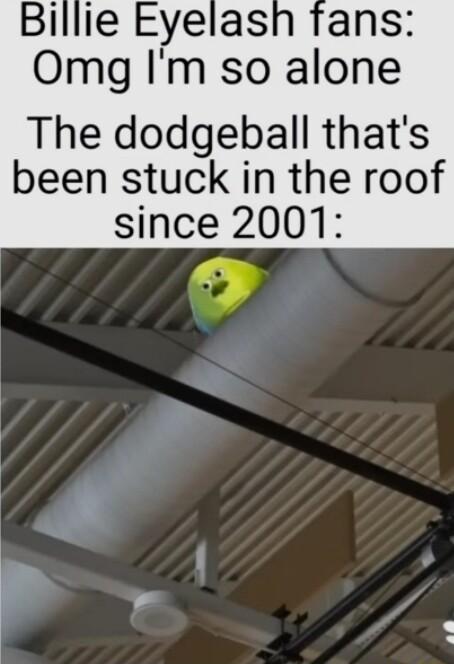 Billie Eyelas Omg Im so alone The dodgeball thats been stuck in the roof since 2001