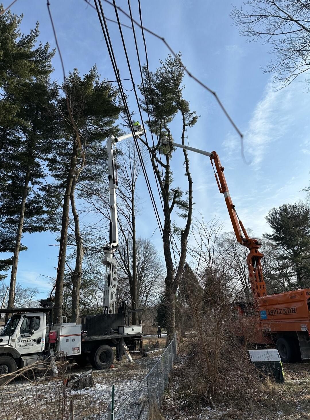 Tree trimming near power lines with a boom lift; workers on site.