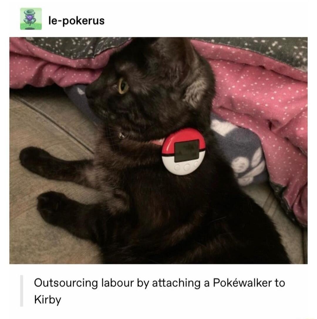 le pokerus Outsourcing labour by attaching a Pokwalker to Kirby