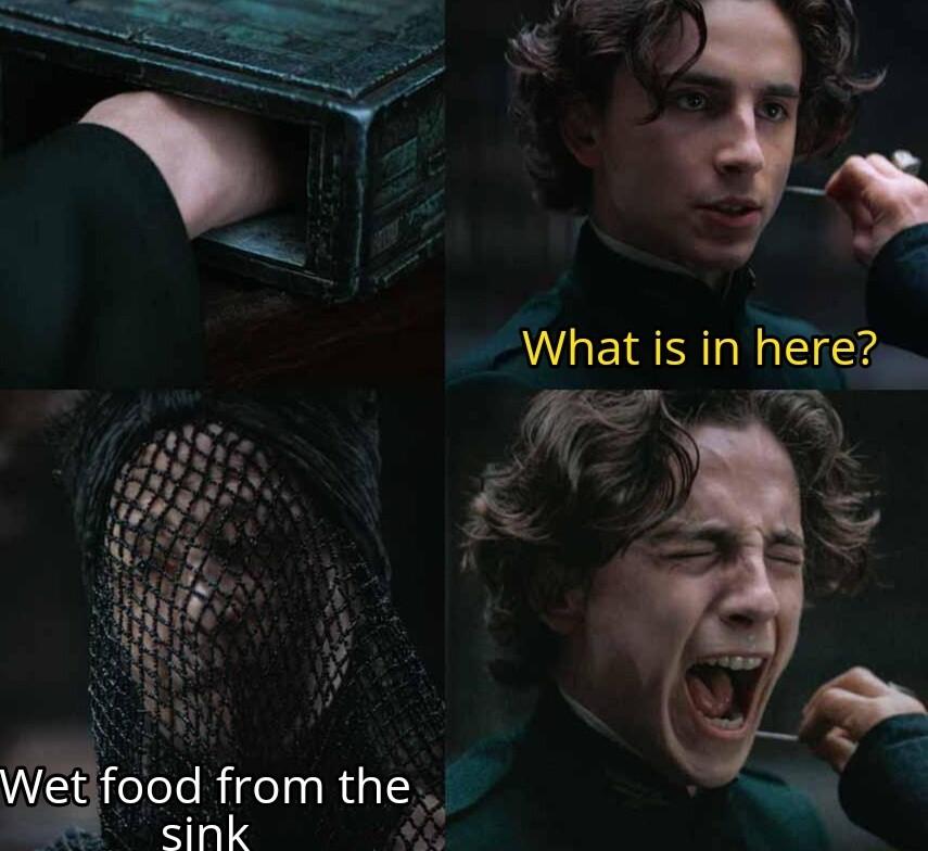 What s in here _7 N Wet focd fromthe e cink