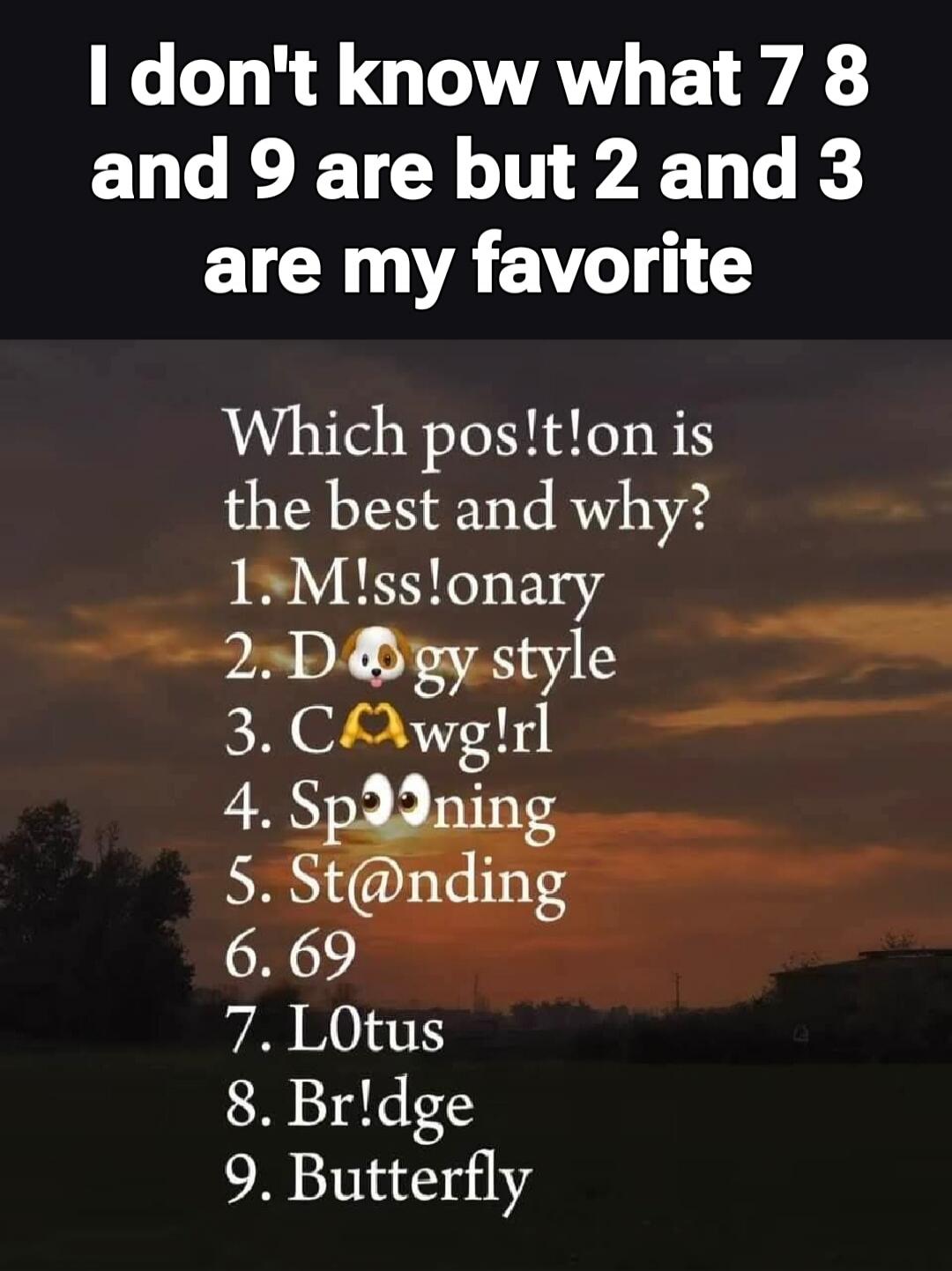 I don't know what 7, 8 and 9 are but 2 and 3 are my favorite. Which position is the best and why? 1. Missionary 2. Doggy style 3. Cowgirl 4. Spooning 5. Standing 6. 69 7. Lotus 8. Bridge 9. Butterfly
