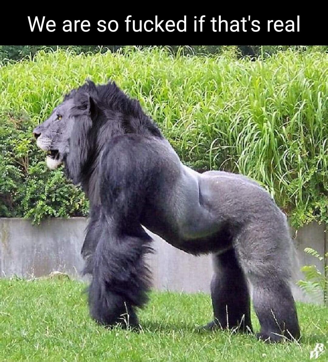We are so fucked f thats real