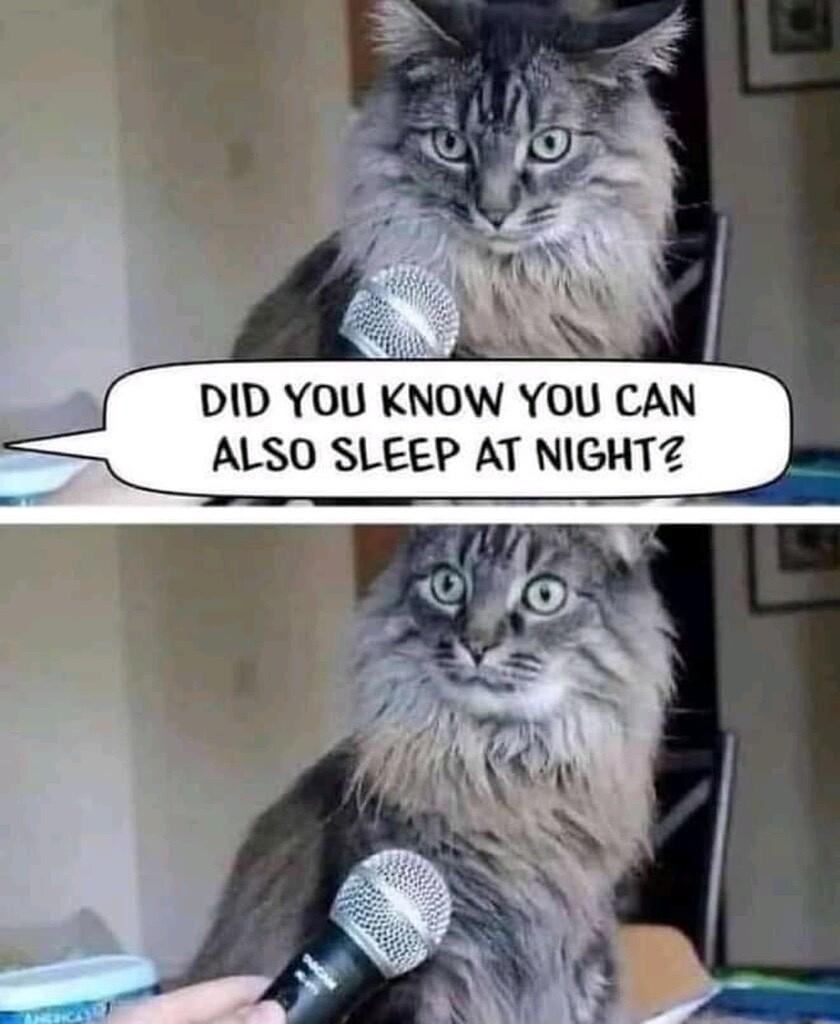 DID YOU KNOW YOU CAN ALSO SLEEP AT NIGHTZ s T