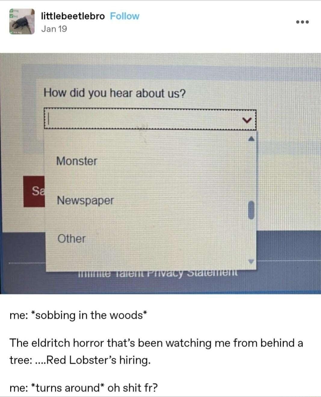 littlebeetlebro Foilo Janto TS TANCIT P TvaCy DWteTiont me sobbing in the woods The eldritch horror thats been watching me from behind a tree Red Lobsters hiring me turns around oh shit fr