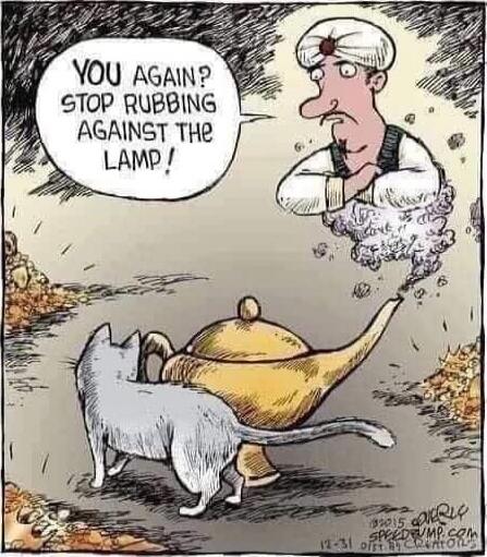 YOU AGAIN? STOP RUBBING AGAINST THE LAMP!