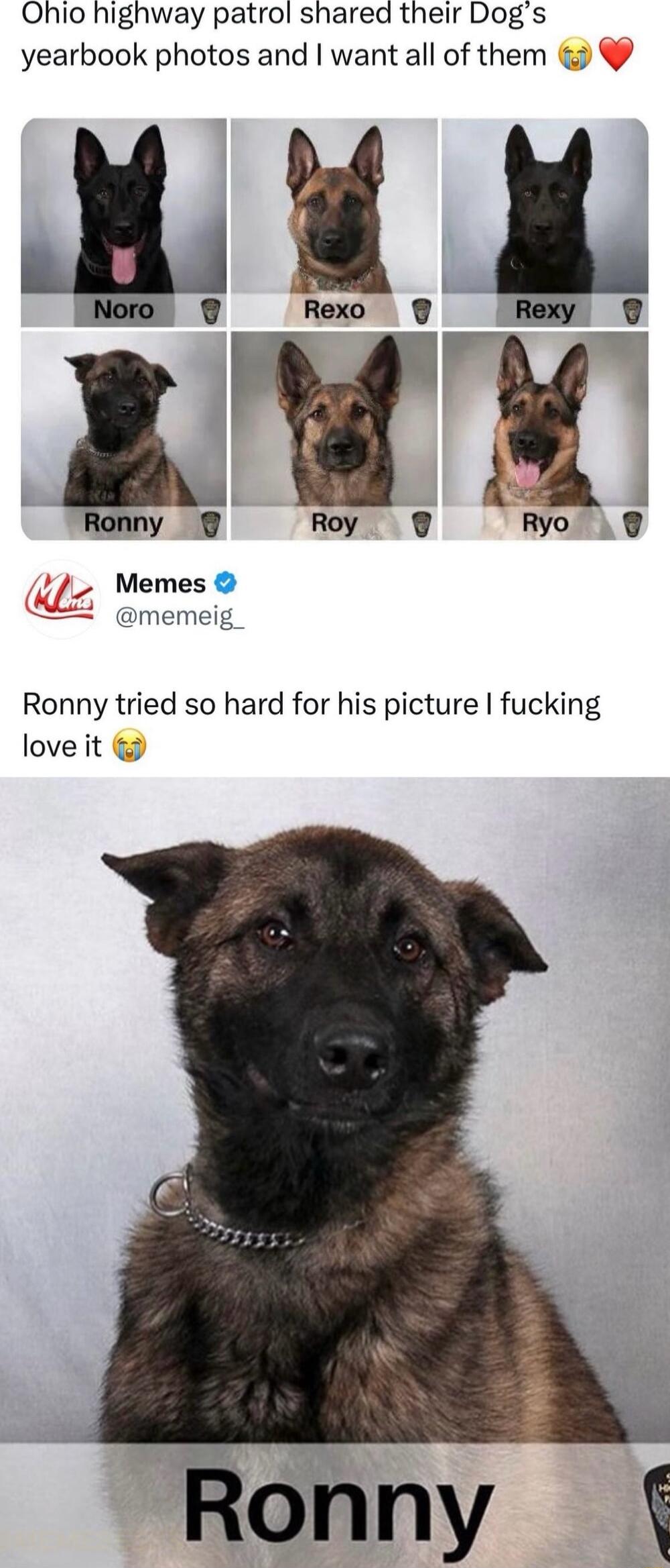 Ohio highway patrol shared their Dogs yearbook photos and want all of them i Rexo V y Roy Memes memeig Ryo 74 Ronny tried so hard for his picture fucking love it