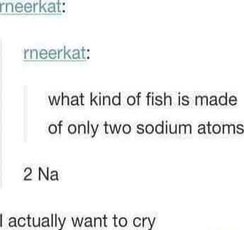 what kind of fish is made of only two sodium atoms
2 Na
I actually want to cry