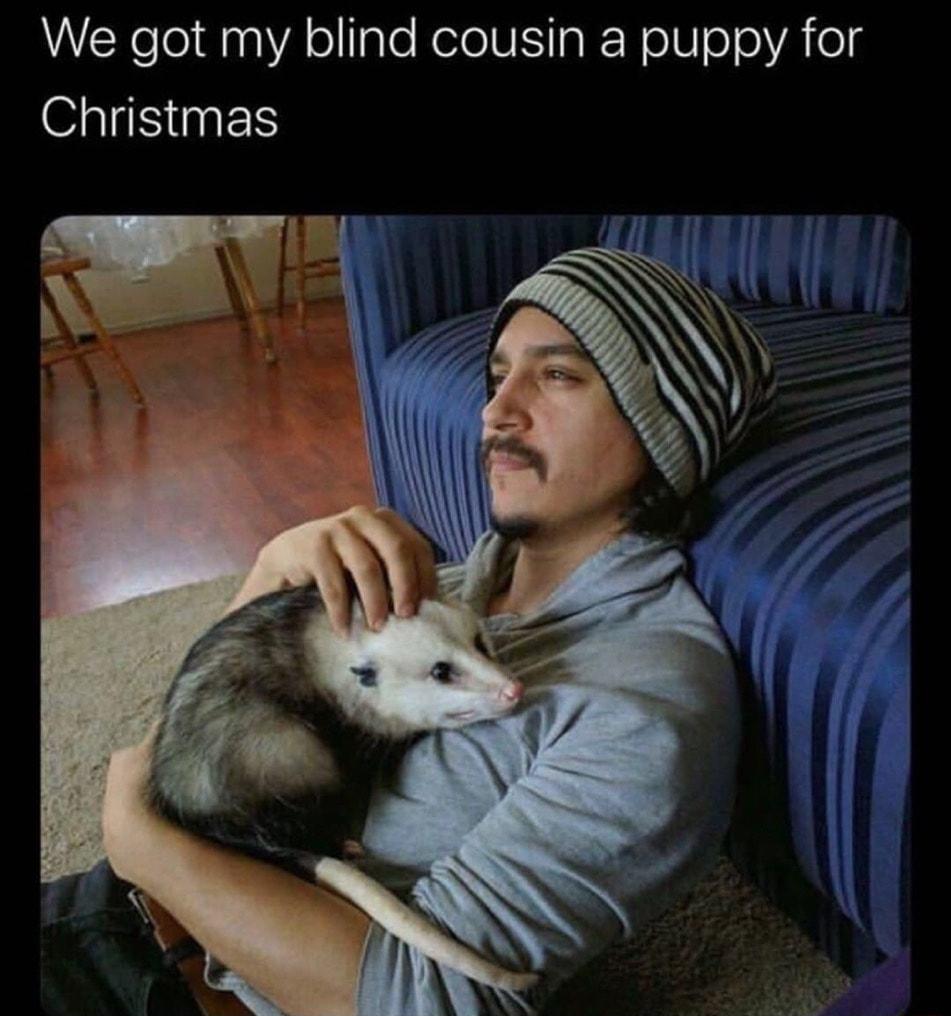 We got my blind cousin a puppy for Christmas