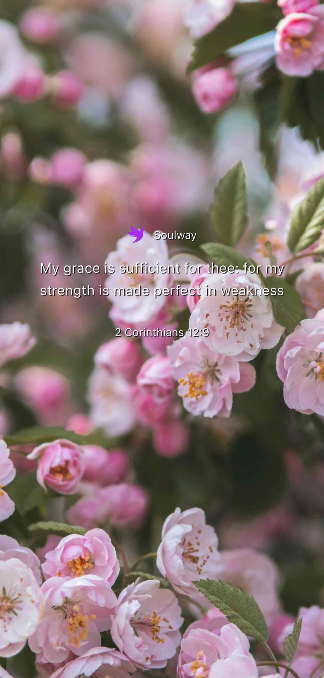 Soulway My grace is sufficient for thee: for my strength is made perfect in weakness 2 Corinthians 12:9