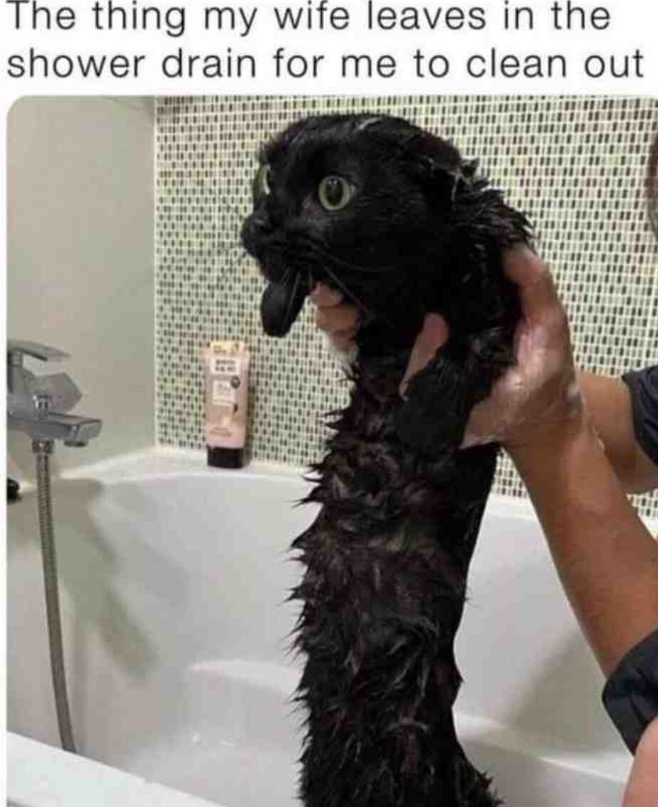 Ine thing my wife leaves In the shower drain for me to clean out