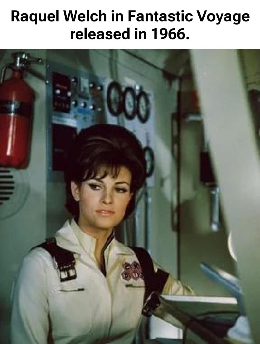 Raquel Welch in Fantastic Voyage released in 1966.