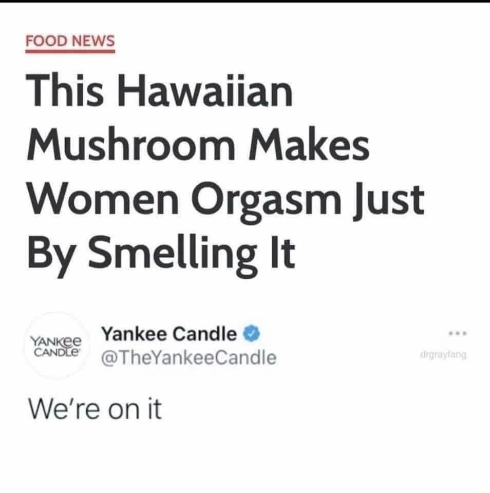 FOOD NEWS This Hawaiian Mushroom Makes Women Orgasm Just By Smelling It Yankee Candle Yankee 7 caote TheYankeeCandle Were on it