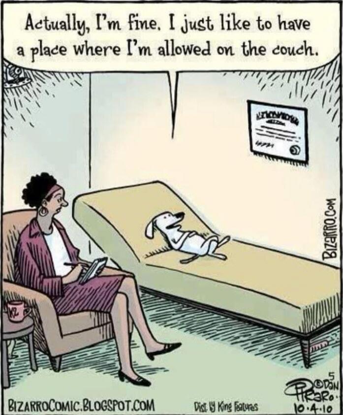 Actually, I'm five. I just like to have a place where I'm allowed on the couch.