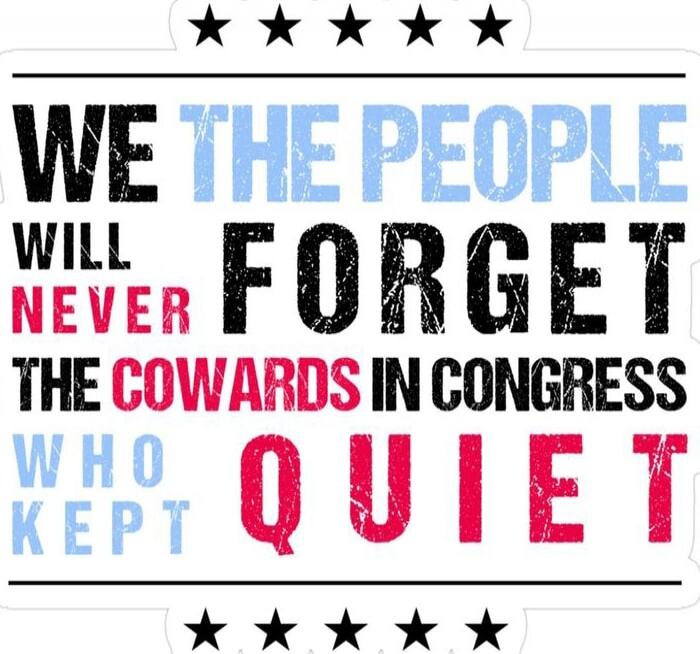 WE THE PEOPLE WILL NEVER FORGET THE COWARDS IN CONGRESS WHO KEPT QUIET